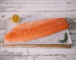 scottish salmon