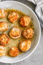 Grilled scallops