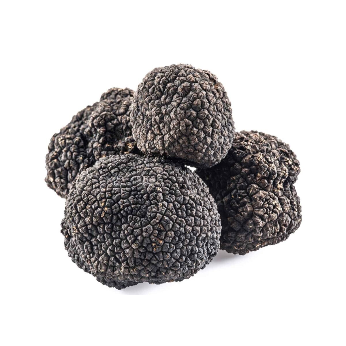 black truffle
