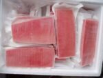 Tuna yellow fin blocks