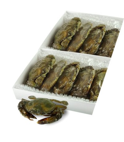 soft shell crabs