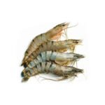 Black Tiger Fresh Shrimp (Vietnam - 3 Sizes)