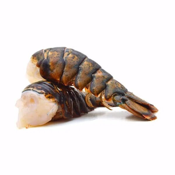 Lobster Tail Box 4.5Kg (Canada - Frozen)