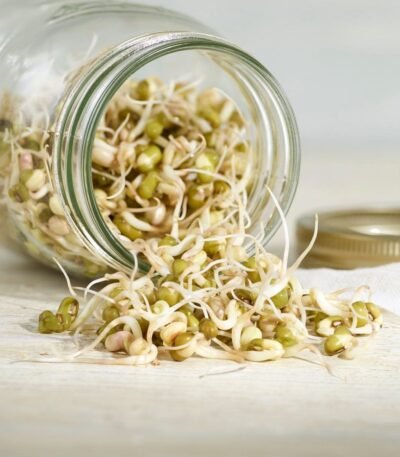 Bean Sprouts