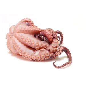 Octopus Raw 2kg-3kg Frozen