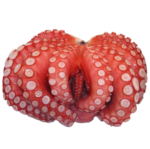 Octopus Cooked 1.5kg Premium Frozen