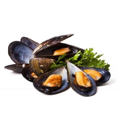 Fresh Mussels 2kg Box (Holland - Weekly)