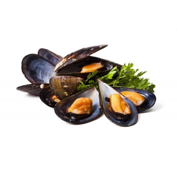 Fresh Mussels 2kg Box (Holland - Weekly)