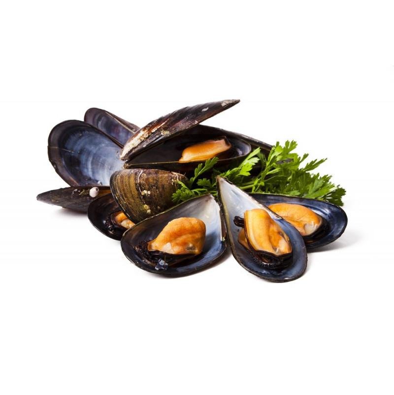 Fresh Mussels 2kg Box (Holland - Weekly)