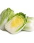 Nappa Cabbage 1 Piece