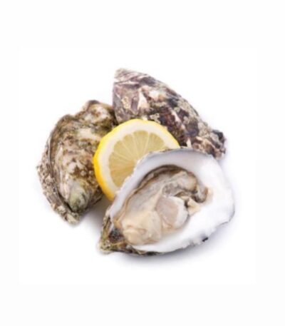 Fresh Oysters Box 25pcs (Holland - Weekly)