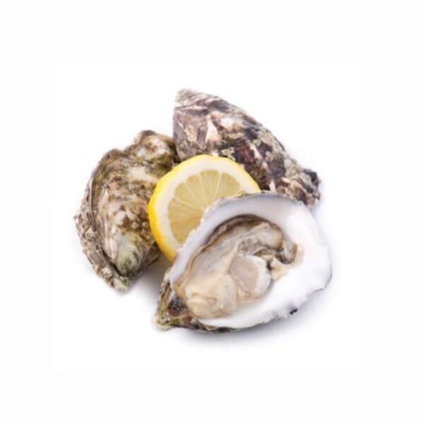 Fresh Oysters Box 25pcs (Holland - Weekly)