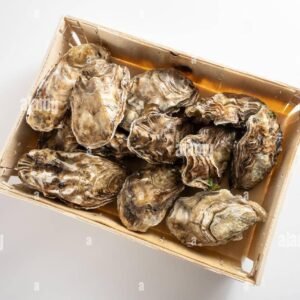 Fresh Oysters Box 25pcs (Holland – Weekly)