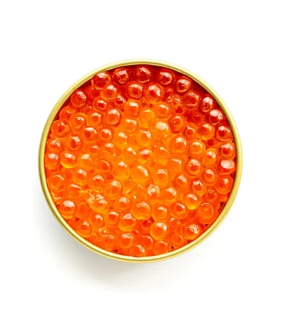 Ikura Japan Premium Wood Box