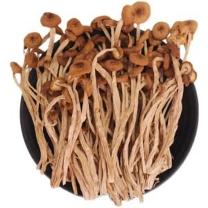 Enoki Mushroom Dry 100g (Bonsai)