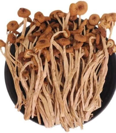 Enoki Mushroom Dry (100g) Bonsai