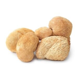 Lion Mane Mushroom Dried 100g