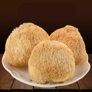 Lion Mane Mushroom Dried 100g