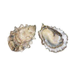 Fresh Oysters 5pcs Creek (UK) ~0.5kg