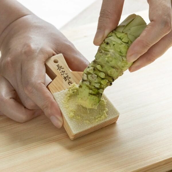 Wasabi Grater Shark Skin - Image 2