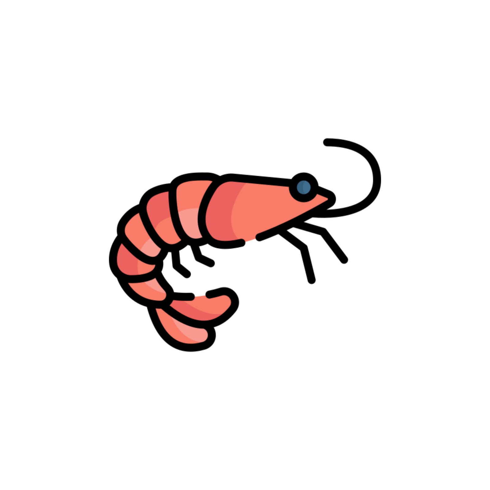 Shrimp
