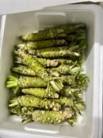 Fresh Real Wasabi Stem (~100g) Japan - Image 3