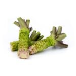 Fresh Real Wasabi Stem (~100g) Japan