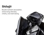 Shilajit Pure Form Natural Himalayan (100g) - Image 3