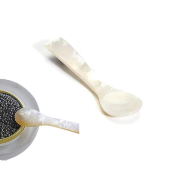 Mother of Pearl Caviar Spoon