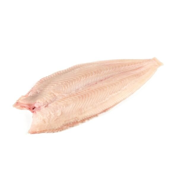 Wild Fillet of Sole (500g) Frozen (Africa)