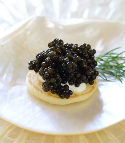 WhatsApp Image 2025 12 16 at 1.02.17 PMbb