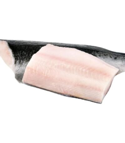 WhatsApp Image 2025 12 13 at 1.53.16 PM