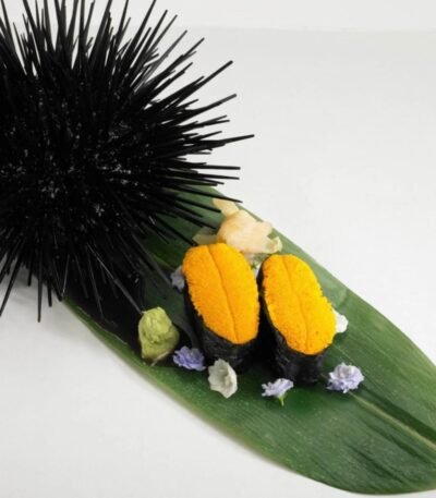 WhatsApp Image 2025 12 13 at 3.24.34 AM