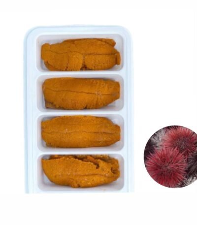 WhatsApp Image 2025 12 13 at 3.27.48 AM