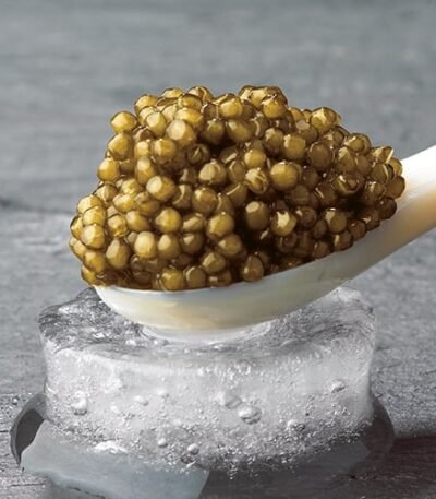 WhatsApp Image 2025 12 16 at 1.02.17 PM