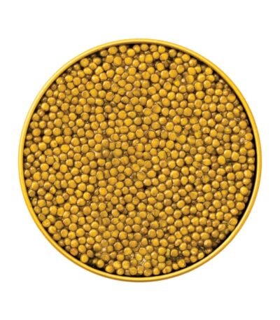 WhatsApp Image 2025 12 16 at 1.02.16 PM