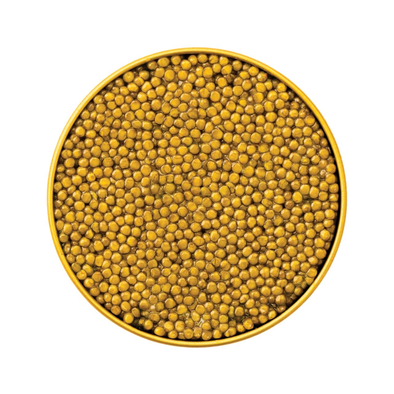 Imperial Gold Caviar WhatsApp Image 2025 12 16 at 1.02.16 PM