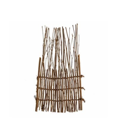 WhatsApp Image 2026 01 21 at 12.00.39 AMnki