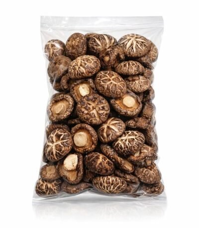 WhatsApp Image 2026 01 13 at 1.32.16 AM