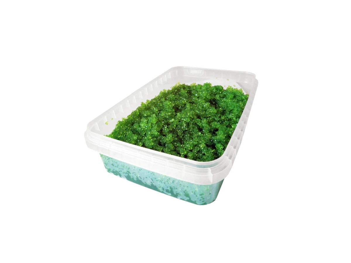 tobiko green 500g