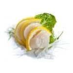 Scallops frozen (1kg) Japan