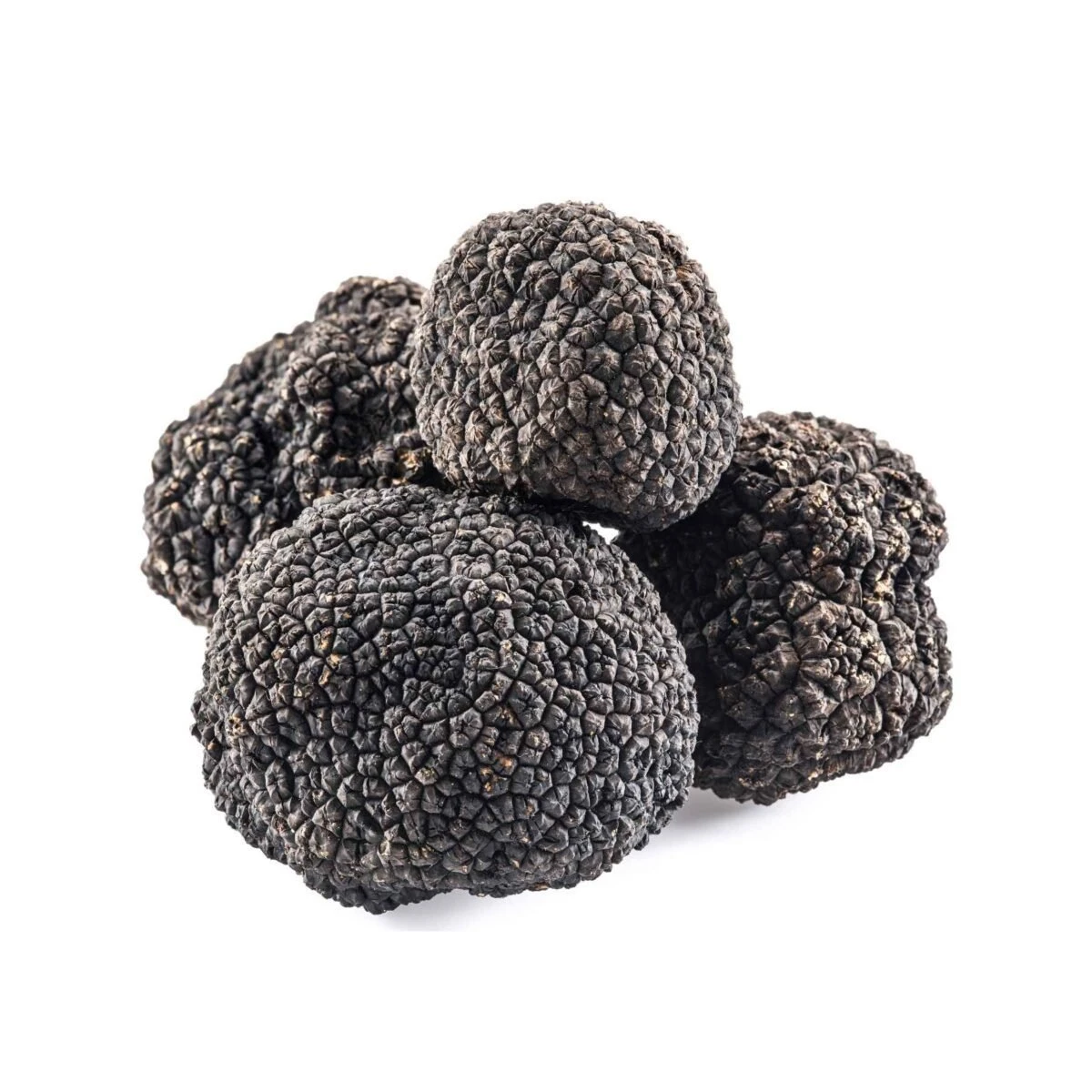 black truffle