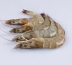Black Tiger Shrimp Whole Size 13/15 Large - Image 2