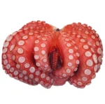 Octopus Cooked 1.5kg Premium Frozen