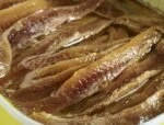 anchovy in oil