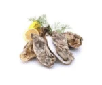 Fresh Oysters (1Piece)