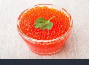 WhatsApp Image 2025 12 18 at 12.10.46 AM