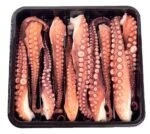 WhatsApp Image 2025 12 03 at 5.46.47 PM