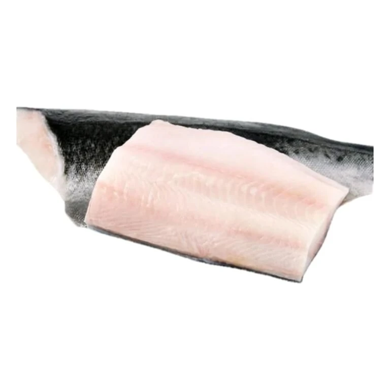 WhatsApp Image 2025 12 13 at 1.53.16 PM