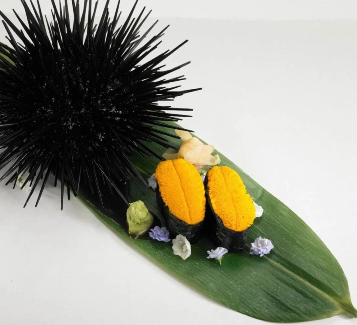 WhatsApp Image 2025 12 13 at 3.24.34 AM